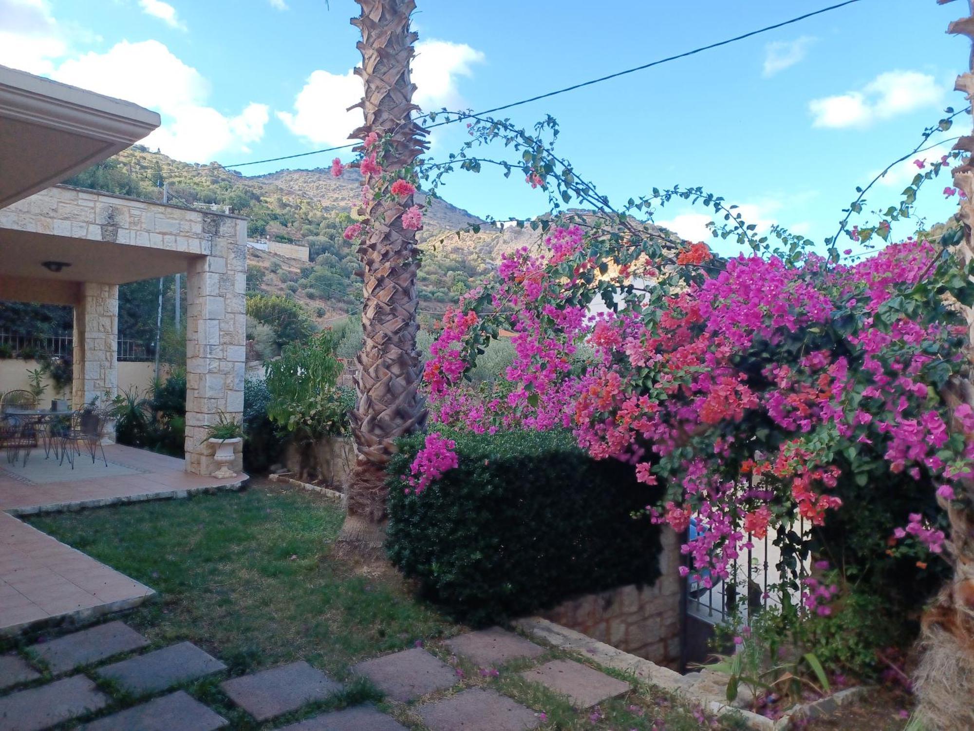 Heraklion Comfy House With Mountain View Eksteriør billede